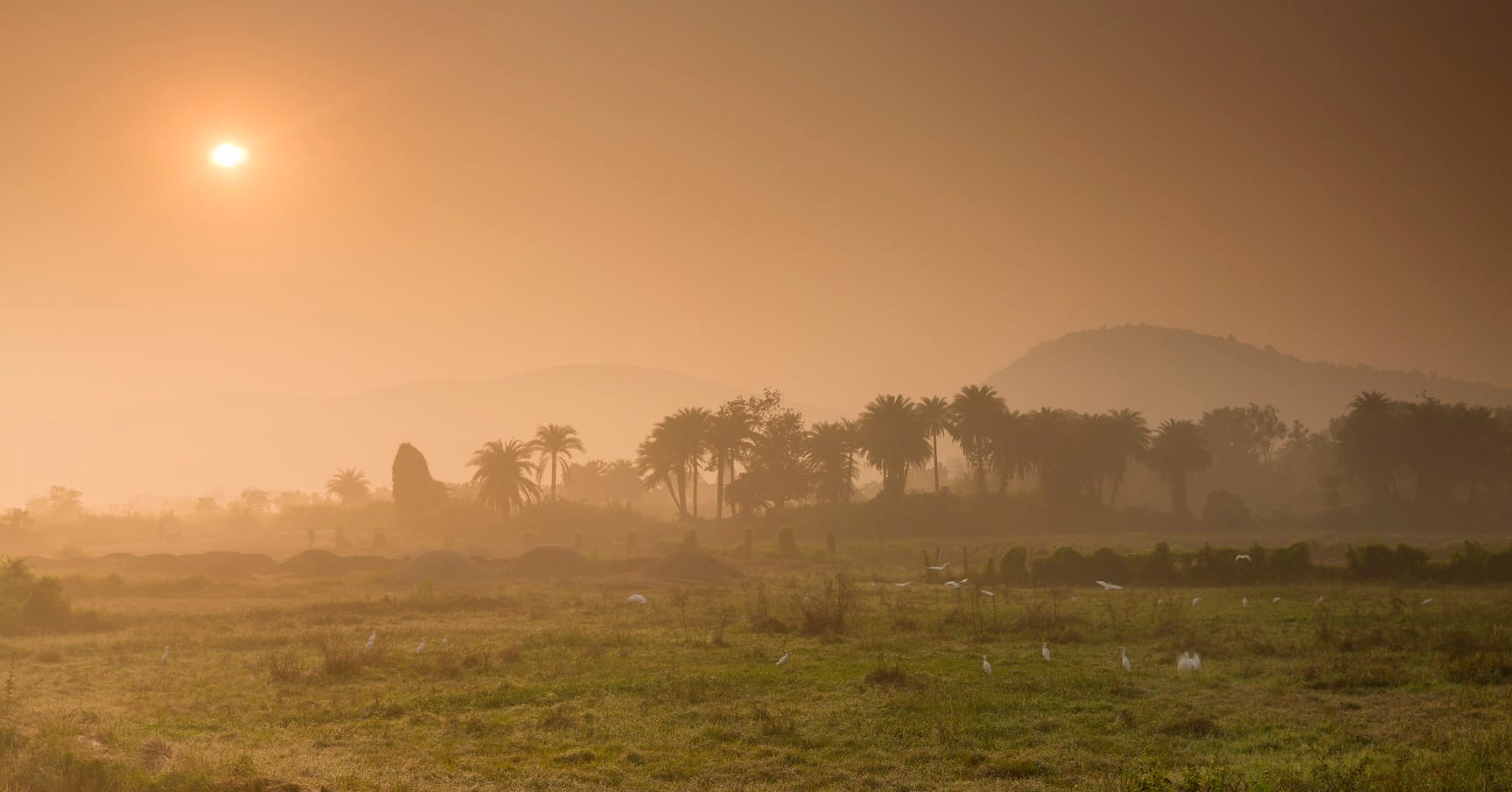 🌾 Rural Odisha Tours | 18-Day Tribal & Heritage Experience